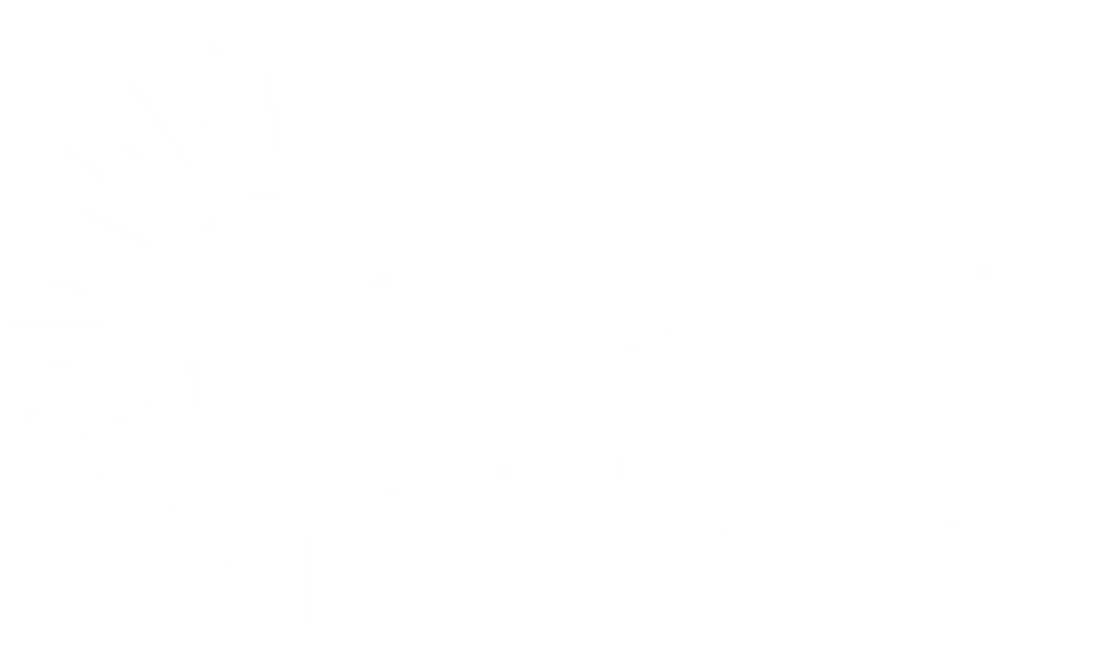 Spark development and construction consultants logo